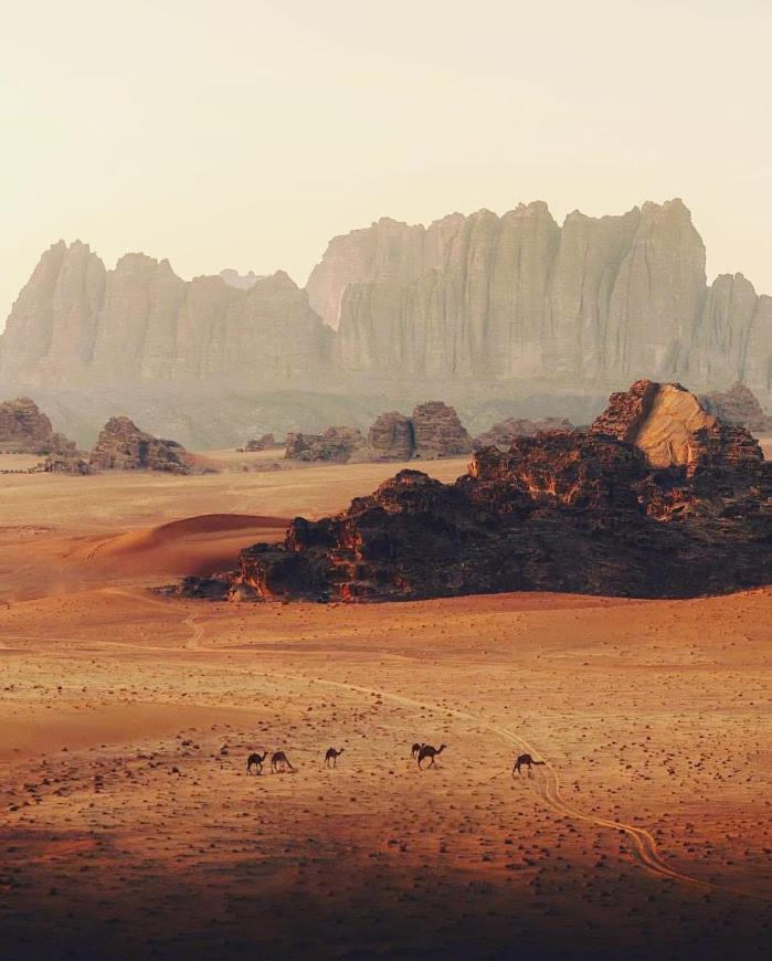 Wadi Rum Desert Camp Exterior foto